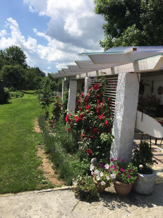 Agroturystyka "Pod Bluszczem" Krasnobród Εξωτερικό φωτογραφία