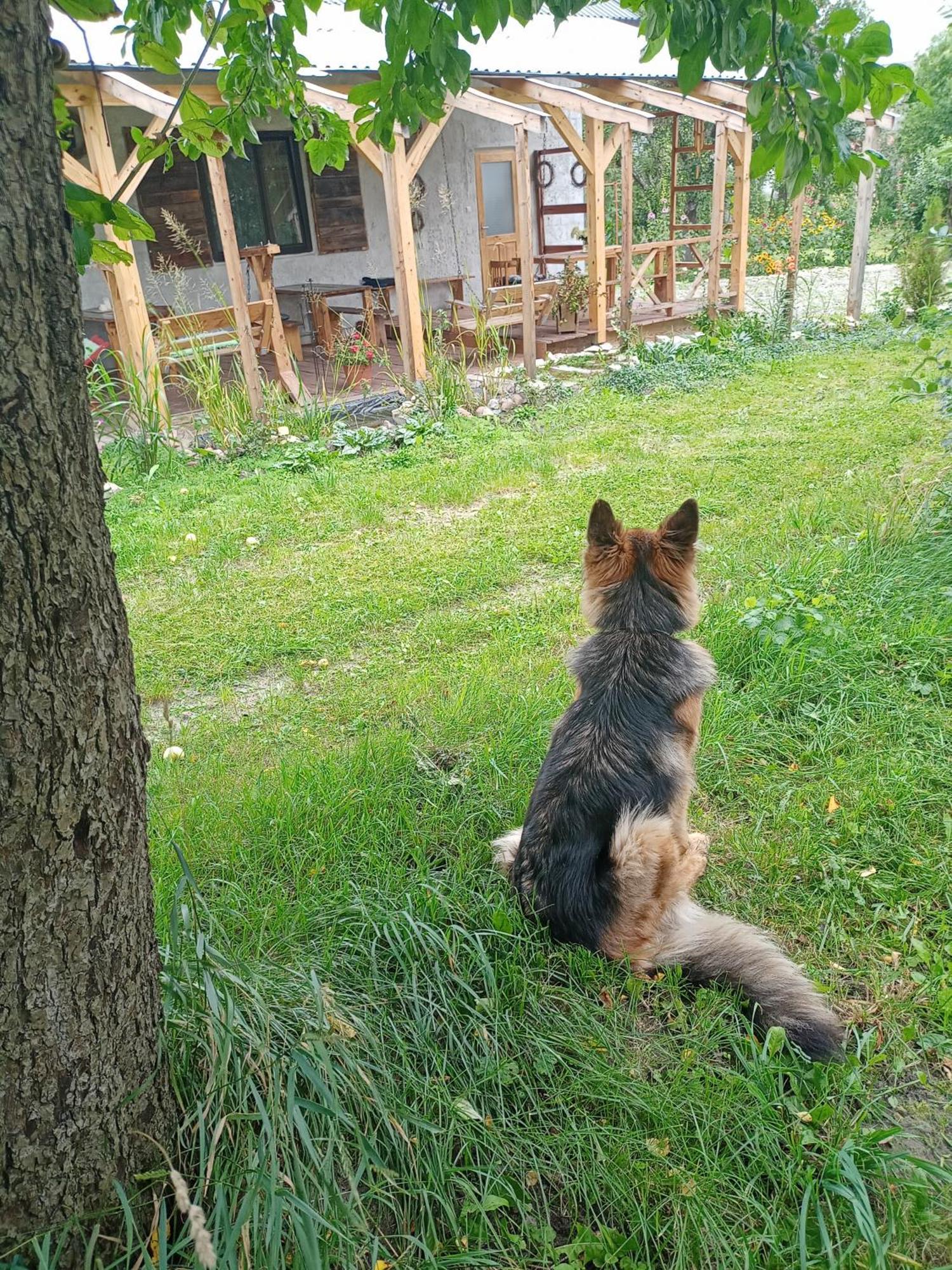 Agroturystyka "Pod Bluszczem" Krasnobród Εξωτερικό φωτογραφία