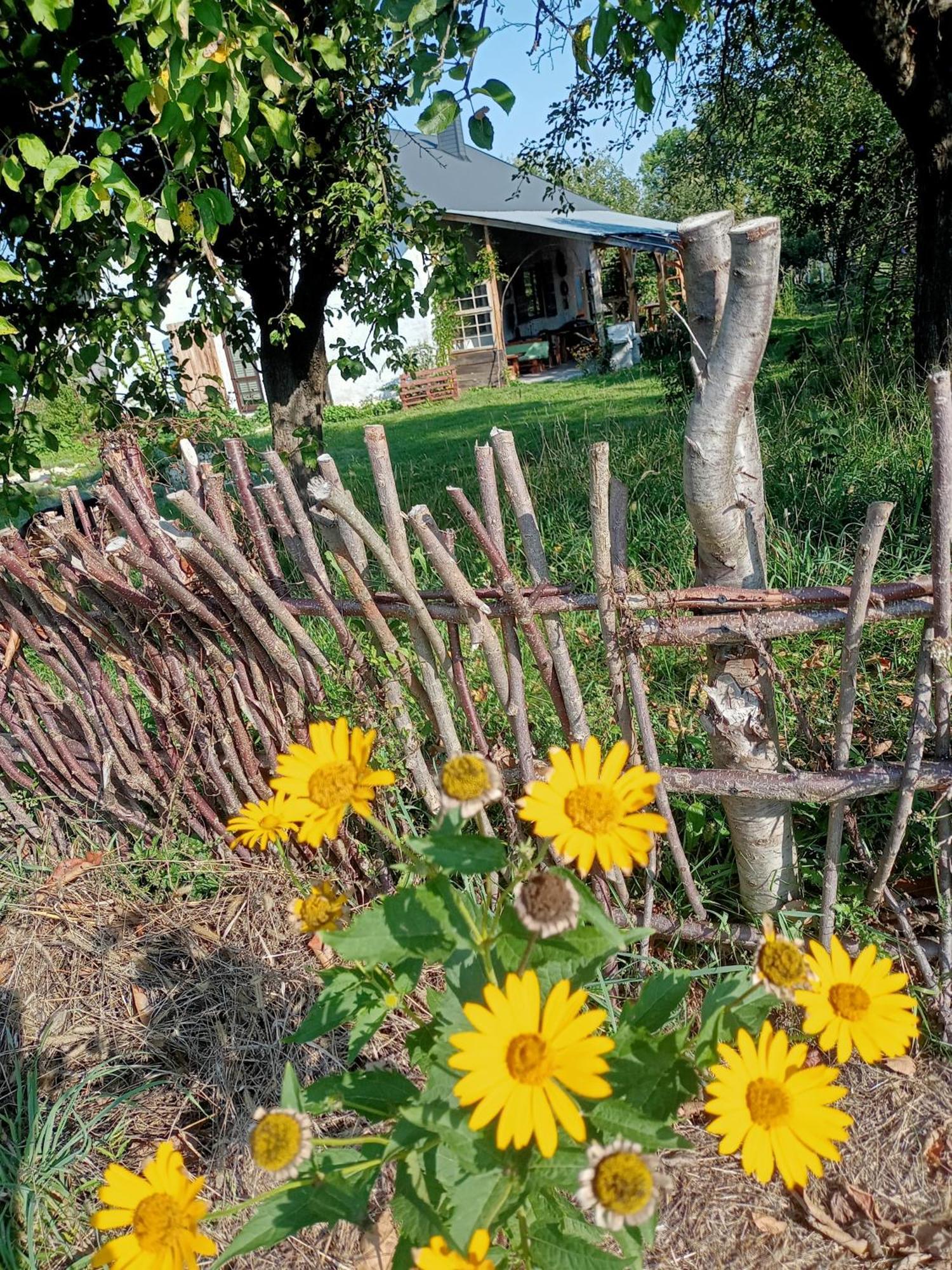 Agroturystyka "Pod Bluszczem" Krasnobród Εξωτερικό φωτογραφία